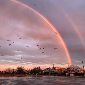 草莓视频深夜在线观看
