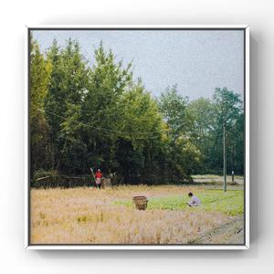 草莓视频深夜在线观看
