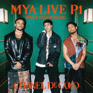 草莓视频深夜在线观看
